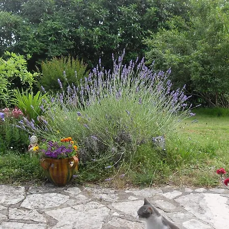 Chez Janou Bed and breakfast